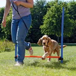 TRIXIE - Obstacle de saut 123x115 cm plastique