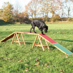 TRIXIE - Passerelle pour agility dogwalk en bois pour chien