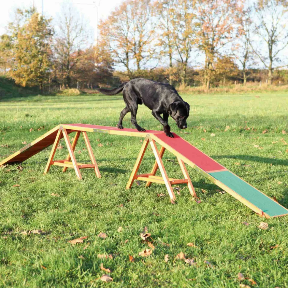 TRIXIE - Passerelle pour agility dogwalk en bois pour chien