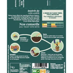 TRUFFAUT - Ancolie étoile Variée : En sachet