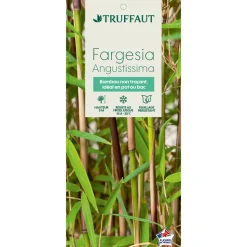TRUFFAUT - Bambou non-traçant fargesia angustissima: pot de 30 litres