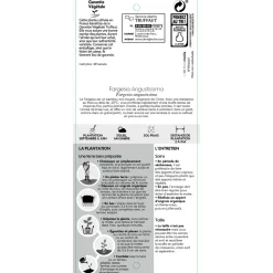 TRUFFAUT - Bambou non-traçant fargesia angustissima: pot de 30 litres