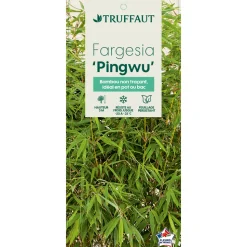 TRUFFAUT - Bambou non-traçant fargesia robusta 'Pingwu': pot de 12 litres