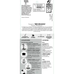 TRUFFAUT - Bambou non-traçant fargesia nitida 'Red Dragon': pot de 5 litres