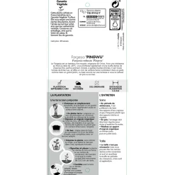 TRUFFAUT - Bambou non-traçant fargesia robusta 'Pingwu': pot de 5 litres
