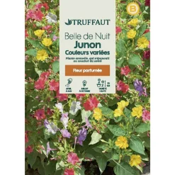 TRUFFAUT - Belle de nuit Junon - couleur variée : en sachet