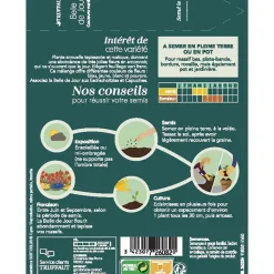 TRUFFAUT - Belle-de-jour couleur Variée : en Sachet