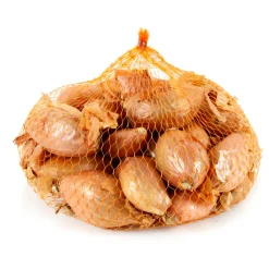 TRUFFAUT - Bulbes d'échalotes 'Jermor' en filet - 500 g