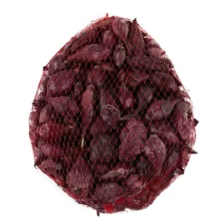 TRUFFAUT - Bulbes d'oignons rouges 'Red Baron' en filet - 500 g