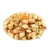 TRUFFAUT - Bulbes d'oignons 'Sturon' en filet - 500 g