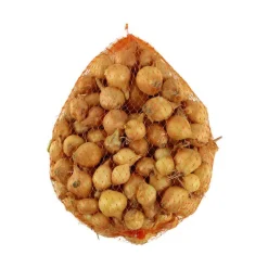 TRUFFAUT - Bulbes d'oignons jaunes en filet - 500 g