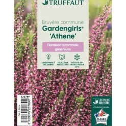TRUFFAUT - Calluna vulgaris 'Athena':conteneur 1 litre
