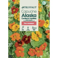 TRUFFAUT - Capucine Alaska couleur variée : En sachet