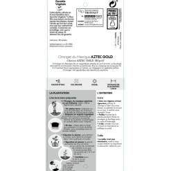 TRUFFAUT - Choisya x 'Aztec Gold' - Pot 5L