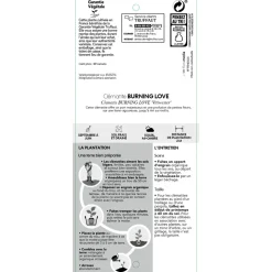 TRUFFAUT - Clematis Burning Love' pot 3L