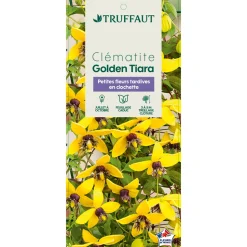 TRUFFAUT - Clematis 'Golden Tiara® Kugotia':pot 3L