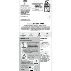 TRUFFAUT - Clematis 'Golden Tiara® Kugotia':pot 3L