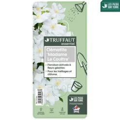 TRUFFAUT - Clematis Madame Lecoultre : ctr 1.5L
