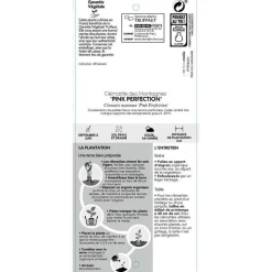 TRUFFAUT - Clematis montana 'Pink Perfection': pot 6L