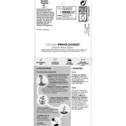 TRUFFAUT - Clematis 'Prince Charles': pot 3L