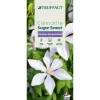 TRUFFAUT - Clematis 'Sugar Sweet': pot 3L