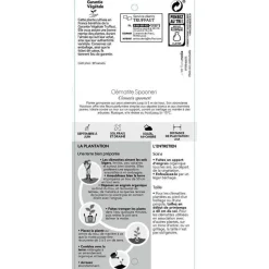 TRUFFAUT - Clématite Montana Spooneri Conteneur de : 3 L