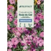 TRUFFAUT - Coquelourde Rose du ciel : en sachet