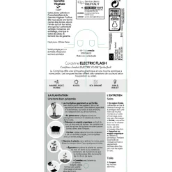 TRUFFAUT - Cordyline 'Electric Flash' : pot 3L