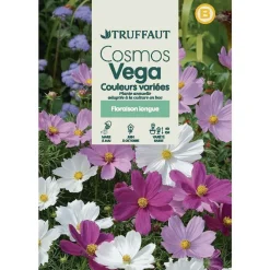 TRUFFAUT - Cosmos nain Vega couleur variée : en sachet