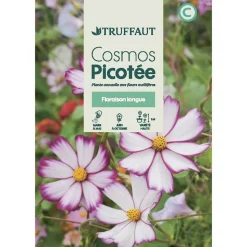 TRUFFAUT - Cosmos picotée : En Sachet