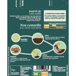 TRUFFAUT - Cosmos picotée : En Sachet