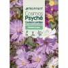 TRUFFAUT - Cosmos Psyché couleur variée : en sachet