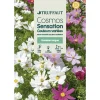 TRUFFAUT - Cosmos sensation à Fleur Géante : En sachet