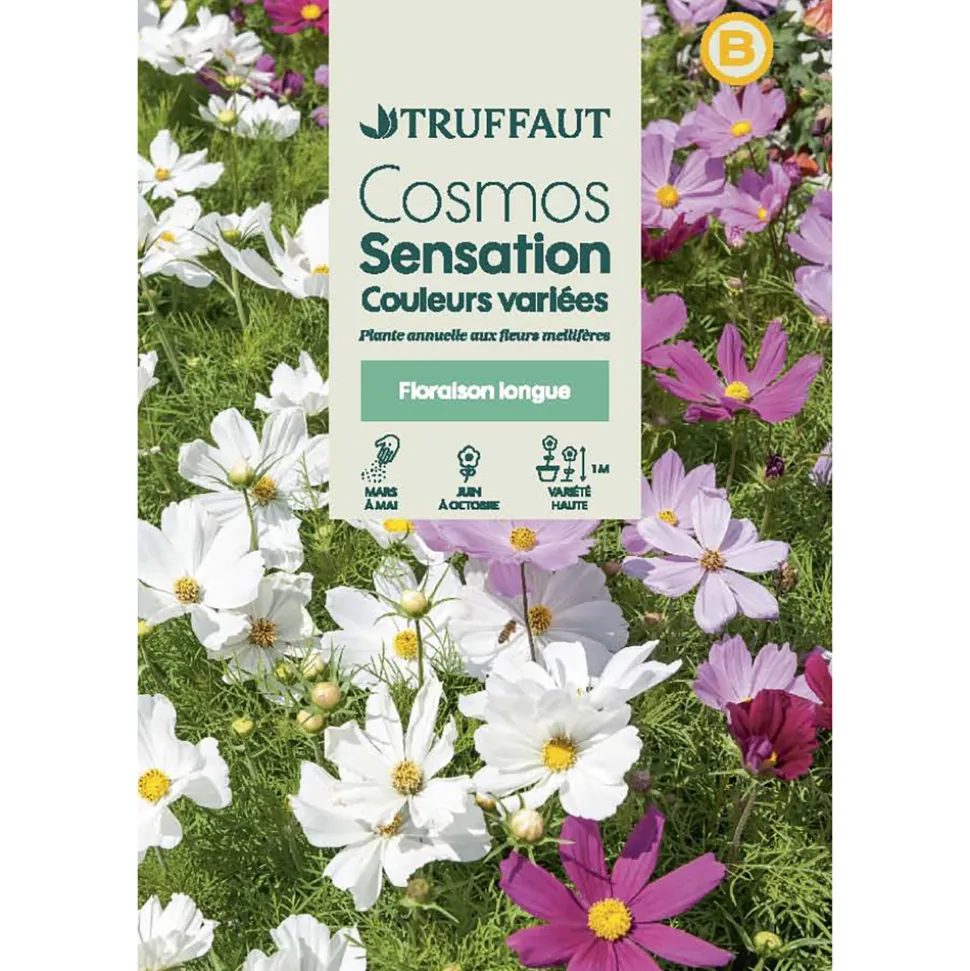 TRUFFAUT - Cosmos sensation à Fleur Géante : En sachet