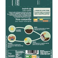 TRUFFAUT - Cosmos sensation à Fleur Géante : En sachet