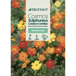 TRUFFAUT - Cosmos Sulphureus couleur variée : en sachet