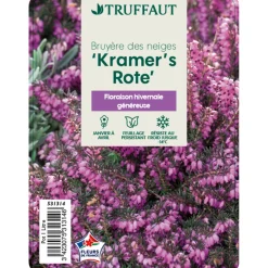TRUFFAUT - Erica x darleyensis 'Kramer's Rote' : ctr 1L