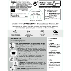 TRUFFAUT - Erica x darleyensis 'Kramer's Rote' : ctr 1L