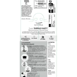 TRUFFAUT - Euonymus 'Emerald Gaiety' pot 3L