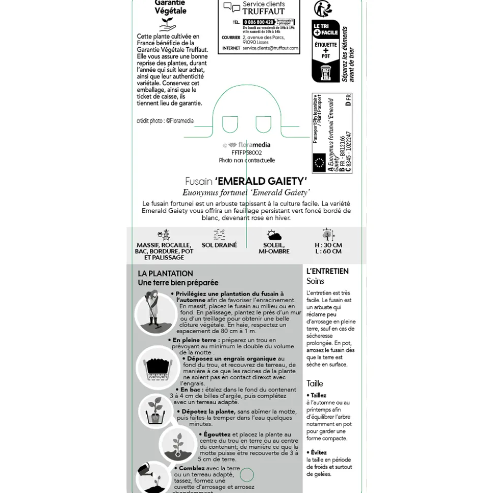 TRUFFAUT - Euonymus 'Emerald Gaiety' pot 3L