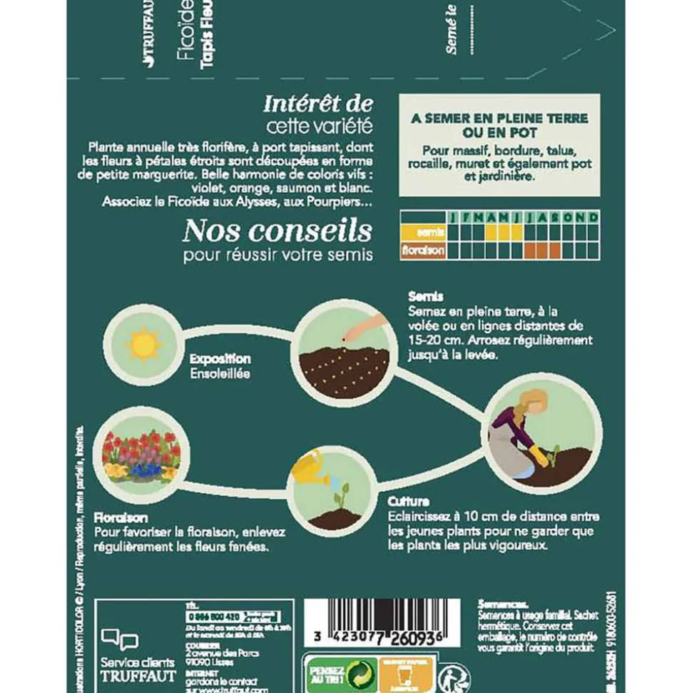 TRUFFAUT - Ficoide tapis Fleuri : En Sachet