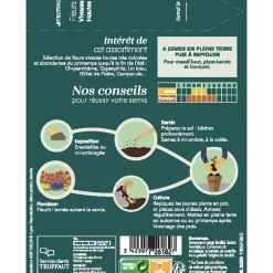 TRUFFAUT - Fleurs vivaces hautes mélange bouquets massifs hauts