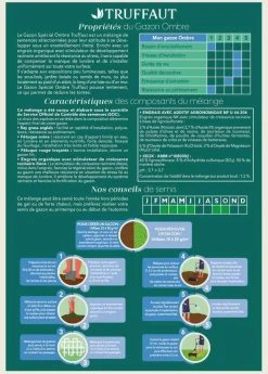 TRUFFAUT - Gazon ombre 1 kg truffaut