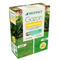 TRUFFAUT - Gazon regarnissage 3 kg truffaut