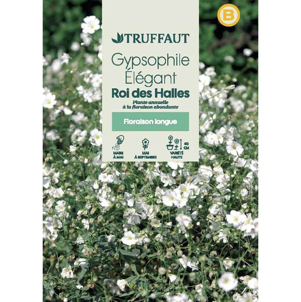 TRUFFAUT - Gypsophile Elegant roi Des Halles : En Sachet