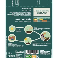 TRUFFAUT - Gypsophile Elegant roi Des Halles : En Sachet