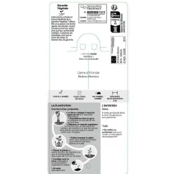 TRUFFAUT - Hedera Hibernica : ctr de 1,5 L.