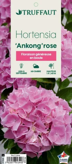TRUFFAUT - Hydrangea Ankong® rose:pot 5L