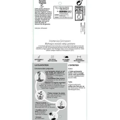 TRUFFAUT - Hydrangea petiolaris : ctr de 3 litres