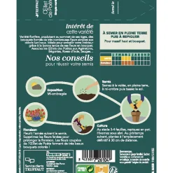 TRUFFAUT - Œillet de poete Hirondelle simple couleur varié : en sachet